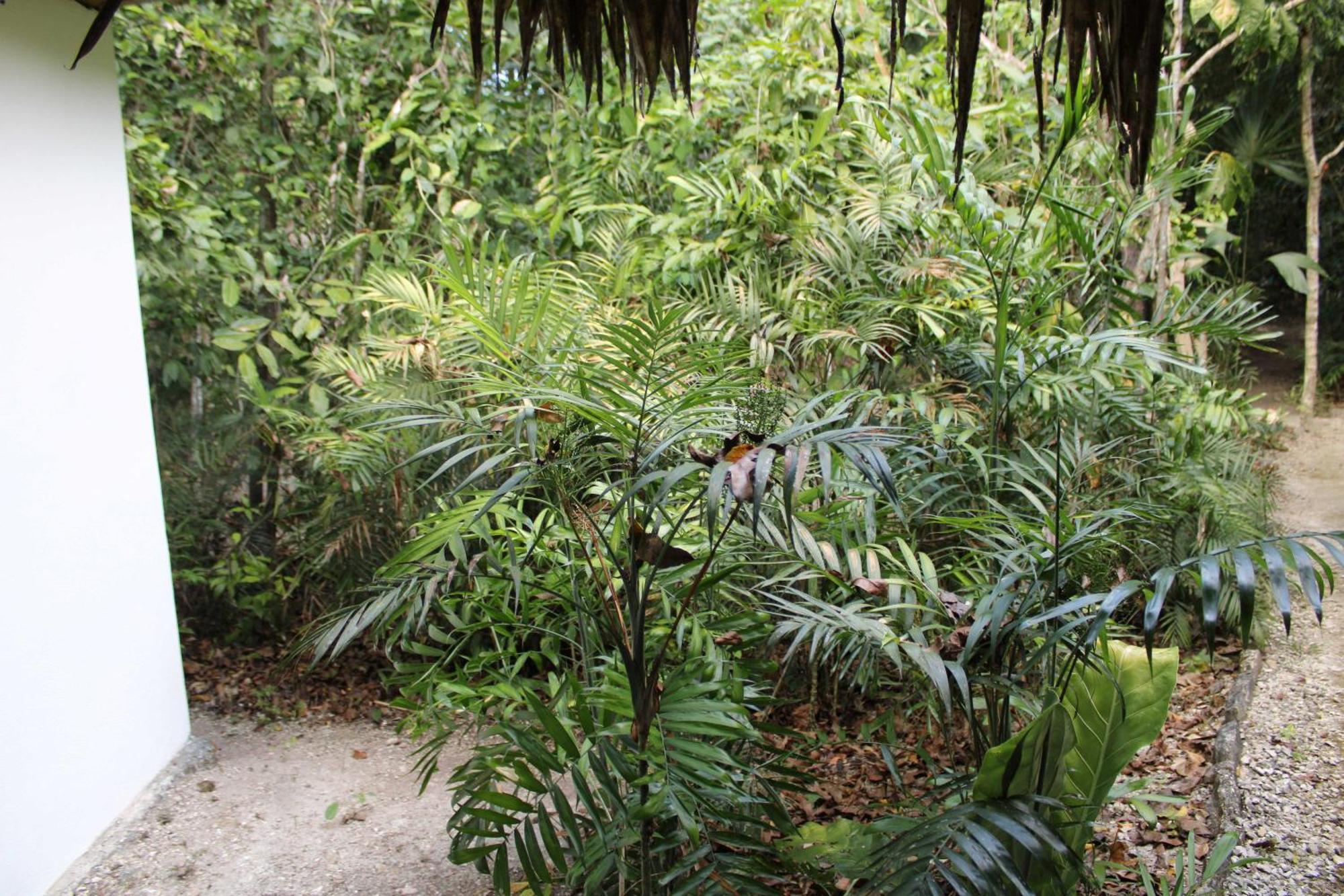 Posada Del Cerro El Remate Kültér fotó
