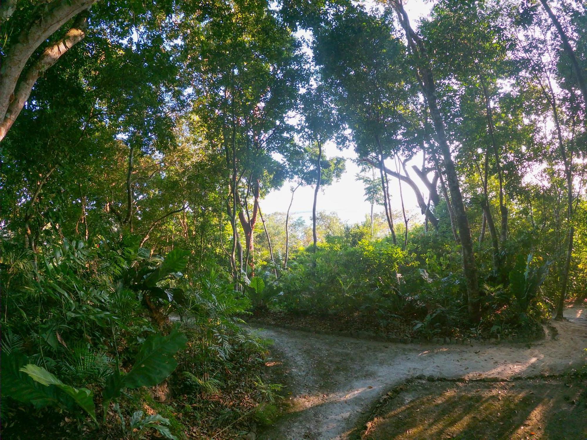Posada Del Cerro El Remate Kültér fotó